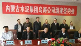 冬去春來，水泥企業(yè)“抱團取暖”，是要干啥