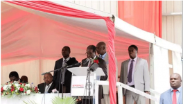 中材國(guó)際津巴布韋最大水泥廠竣工 總統(tǒng)出席并講話