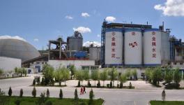 金隅冀東姜德義：打造京津冀水泥價值高地