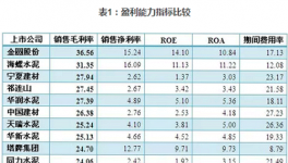 總結(jié)：2016年水泥上市企業(yè)財(cái)務(wù)指標(biāo)排位戰(zhàn)
