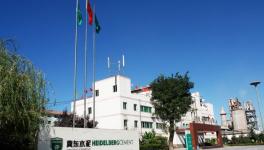 南非林波波省塔巴茲姆比市的中國地標(biāo)曼巴水泥廠