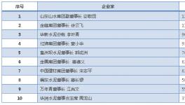 哪家水泥品牌能代表國內(nèi)的先進水平