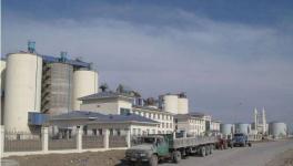 這個地區(qū)12戶水泥企業(yè)20條生產(chǎn)線即日起停窯150天（附名單）