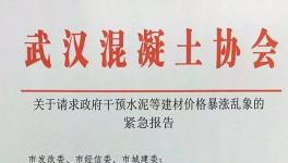 協(xié)會發(fā)文:請求政府干預(yù)水泥價格暴漲亂象！(附文件)