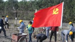 寧波海螺水泥公司黨員突擊隊(duì) “造綠色廠區(qū)，建美麗企業(yè)”