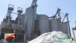 這家企業(yè)污染嚴(yán)重卻打著環(huán)保“大旗”生產(chǎn)水泥