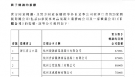 中國(guó)建材出售25家附屬公司