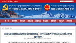 大搞權(quán)錢色交易!私分國有資產(chǎn)!這家水泥集團原董事長被雙開!