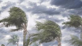 今后只有國(guó)企和外企有生存空間