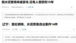 水泥企業(yè)中的真假“李逵”讓人質(zhì)疑