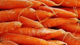 混凝土抗壓強(qiáng)度不夠？加點(diǎn)胡蘿卜！