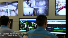 看這家海螺如何