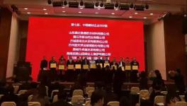 曲寨水泥榮獲中國建材企業(yè)500強企業(yè)