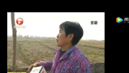 該地區(qū)農田整治被揭搞豆腐渣工程，混凝土一捏粉粉碎！