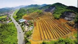 這個地區(qū)礦石開采多年 欠下“20億”生態(tài)債