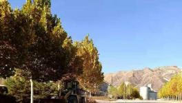 這家官司纏身的水泥企業(yè)或已被中聯(lián)水泥接手！