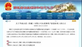 又一條新建水泥產能將落地！