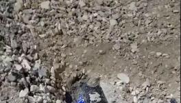 大貨車(chē)闖紅燈側(cè)翻!小車(chē)瞬間被埋!致3人死亡！