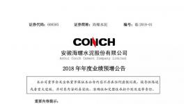 海螺水泥2018年業(yè)績預(yù)增100% 或達300億元