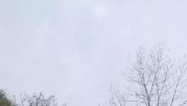 這家水泥廠破壞青山、污染環(huán)境何時(shí)休？