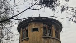 江南水泥廠被指保護(hù)不力，回應(yīng)稱原因復(fù)雜