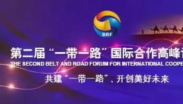 運管埃及10條線,一帶一路展雄風！