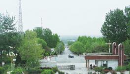 綠色生態(tài)，打造水泥廠最美四月天！