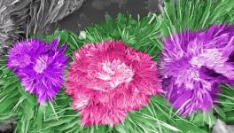 水泥的另外一種美！您見(jiàn)過(guò)嗎？