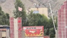 村民舉報(bào)：已關(guān)停許久的水泥廠又開始生產(chǎn)，粉塵污染嚴(yán)重