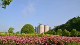 打造美麗礦區(qū)！叫響華新水平綠色品牌！