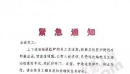 狼來(lái)了！這家水泥廠已有員工被抓傷！