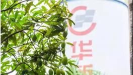 人與自然和諧相處！水泥廠迎來神秘訪客！