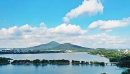 緊急通知！8月15日起推動部分水泥企業(yè)退出！9月起實施階段性停產(chǎn)！