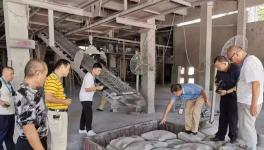 一間停產(chǎn)的水泥廠，竟然生產(chǎn)出了四個(gè)牌子的水泥？