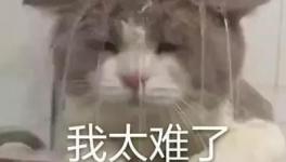 國(guó)慶節(jié)的催款心聲，讓數(shù)萬水泥人不再沉默！