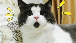 美！太美了！這些花園水泥廠您去過嗎！