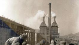 這家企業(yè)被稱為中國水泥行業(yè)的“活化石”