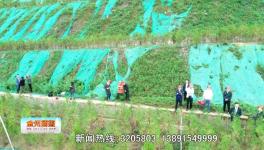 點(diǎn)贊！這一地區(qū)礦山生態(tài)環(huán)境恢復(fù)治理近200公頃！