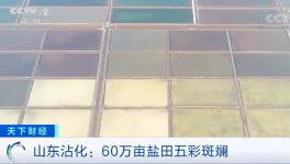 1噸海水超千元！廢料還能造水泥！