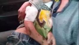 突發(fā)！血肉模糊！混凝土攪拌機(jī)把人活活攪死！