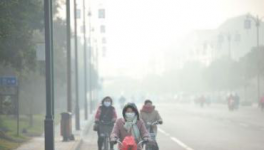 水泥停產(chǎn)！工地放假！物流停運！“春運”提前來了！