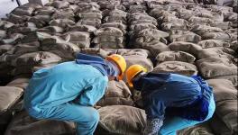 大事！砌筑32.5、P.P、P.F、P.S.A 32.5水泥全部取消！這個省動真格！