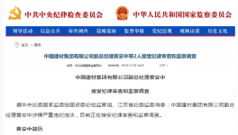出事了！中國(guó)建材集團(tuán)高管涉嫌違紀(jì)被查！