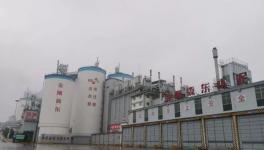 強手如林中拔得頭籌！這家水泥企業(yè)年利潤超3億元！