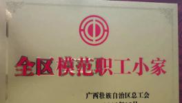 興業(yè)海螺質(zhì)量控制處工會小組榮獲“2019年全區(qū)模范職工小家”榮譽(yù)稱號