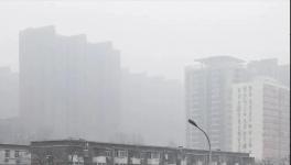 停工停產(chǎn)一個月！霧霾還是爆表！3000多家水泥企業(yè)“冤不冤”?