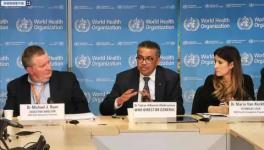 多個(gè)國家封國！30個(gè)國家進(jìn)入緊急狀態(tài)！