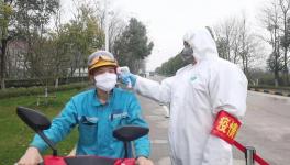 視頻：無人駕駛調(diào)試、大型設備組裝......蕪湖海螺復產(chǎn)！