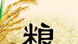 全球糧食市場異動(dòng)，每個(gè)人都要提前應(yīng)對(duì)了！