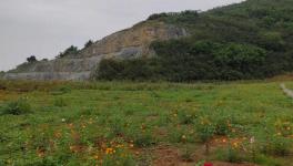 這家水泥企業(yè)喜獲2800萬噸石灰?guī)r礦采礦權(quán)！